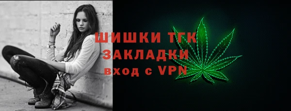 a pvp Бородино