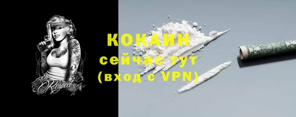 a pvp Бородино