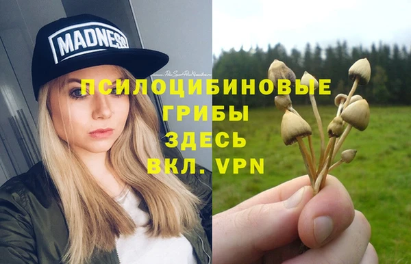 Альфа ПВП Бугульма