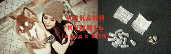 a pvp Бородино