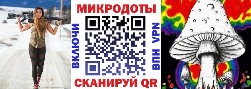 Псилоцибиновые грибы мицелий  Великий Новгород 